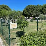 Denize 5 Dk Yürüme Mesafesinde Kuş-ar Sitesi