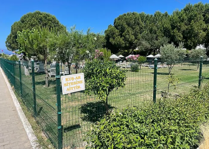 Denize 5 Dk Yuerueme Mesafesinde Kus-ar Sitesi